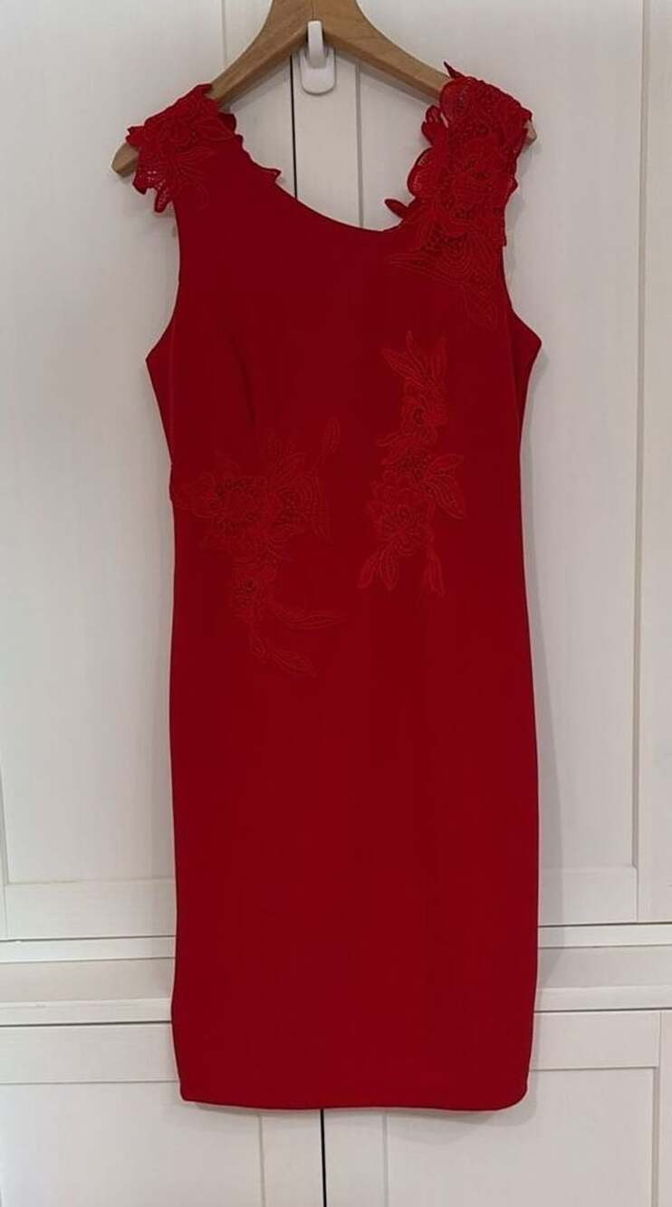 Apt. 9 Red Sleeveless Sheath Dress with Floral Lace Applique Detail